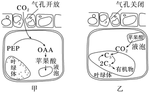 菁優(yōu)網(wǎng)