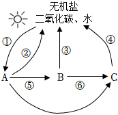 菁優(yōu)網(wǎng)