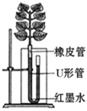 菁優(yōu)網