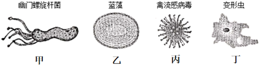 菁優(yōu)網(wǎng)