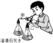 菁優(yōu)網(wǎng)