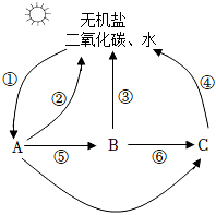 菁優(yōu)網(wǎng)