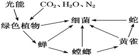 菁優(yōu)網(wǎng)