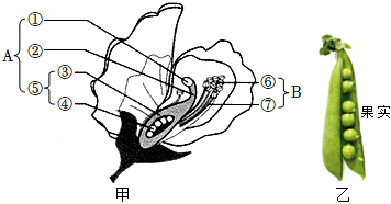 菁優(yōu)網(wǎng)