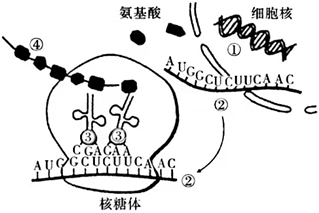 菁優(yōu)網(wǎng)