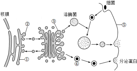 菁優(yōu)網