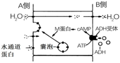 菁優(yōu)網