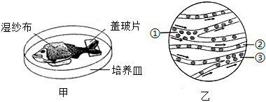 菁優(yōu)網(wǎng)