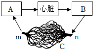 菁優(yōu)網(wǎng)