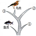 菁優(yōu)網(wǎng)