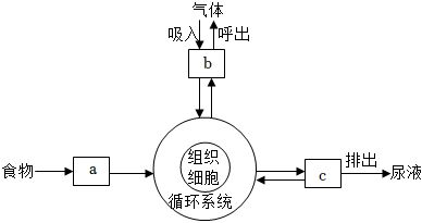 菁優(yōu)網(wǎng)