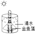 菁優(yōu)網(wǎng)