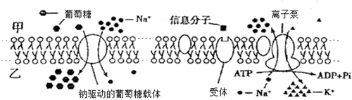 菁優(yōu)網(wǎng)