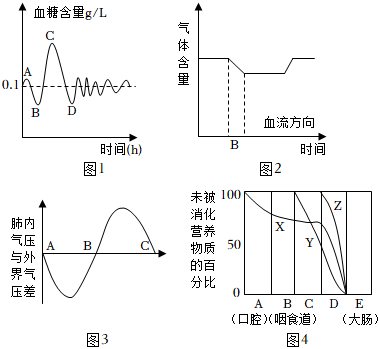 菁優(yōu)網(wǎng)