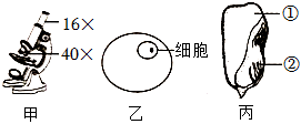 菁優(yōu)網(wǎng)