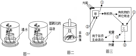 菁優(yōu)網(wǎng)