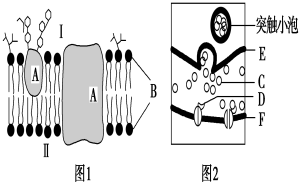 菁優(yōu)網