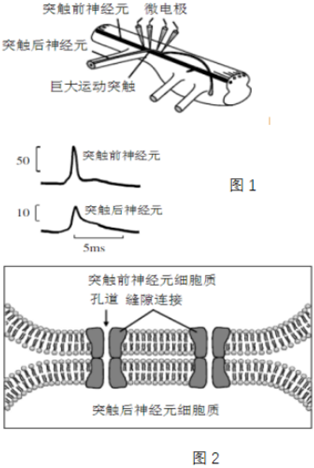 菁優(yōu)網