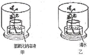 菁優(yōu)網(wǎng)