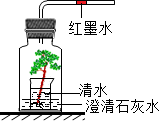 菁優(yōu)網(wǎng)