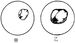 菁優(yōu)網