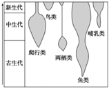 菁優(yōu)網