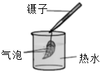 菁優(yōu)網