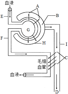 菁優(yōu)網(wǎng)