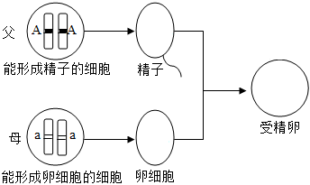 菁優(yōu)網