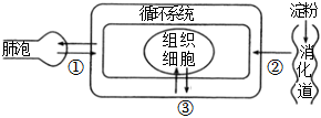 菁優(yōu)網(wǎng)