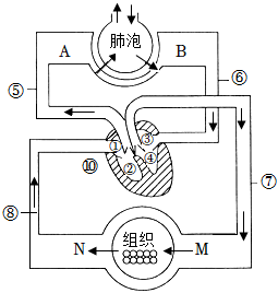 菁優(yōu)網(wǎng)