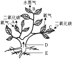 菁優(yōu)網(wǎng)