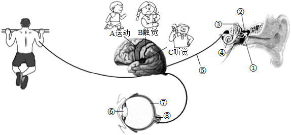 菁優(yōu)網