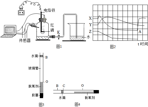 菁優(yōu)網