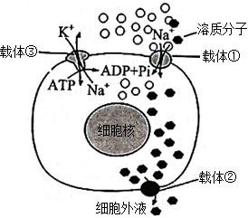 菁優(yōu)網(wǎng)