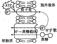 菁優(yōu)網(wǎng)