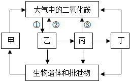 菁優(yōu)網(wǎng)