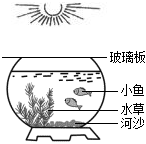 菁優(yōu)網(wǎng)