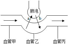 菁優(yōu)網(wǎng)