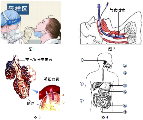 菁優(yōu)網