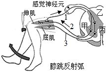 菁優(yōu)網(wǎng)