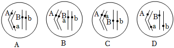 菁優(yōu)網(wǎng)