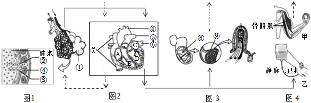 菁優(yōu)網(wǎng)