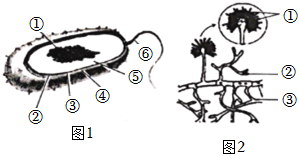 菁優(yōu)網