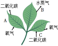 菁優(yōu)網(wǎng)