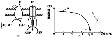 菁優(yōu)網(wǎng)