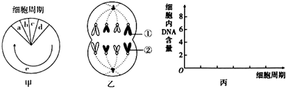 菁優(yōu)網