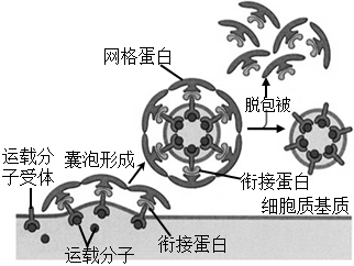 菁優(yōu)網(wǎng)