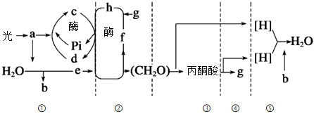 菁優(yōu)網