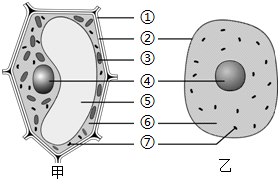 菁優(yōu)網